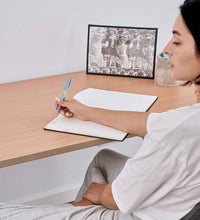 Höhenverstellbarer Schreibtisch - Deskolonia Melamin White