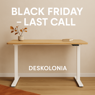 Black Friday – Last Call bei Deskolonia